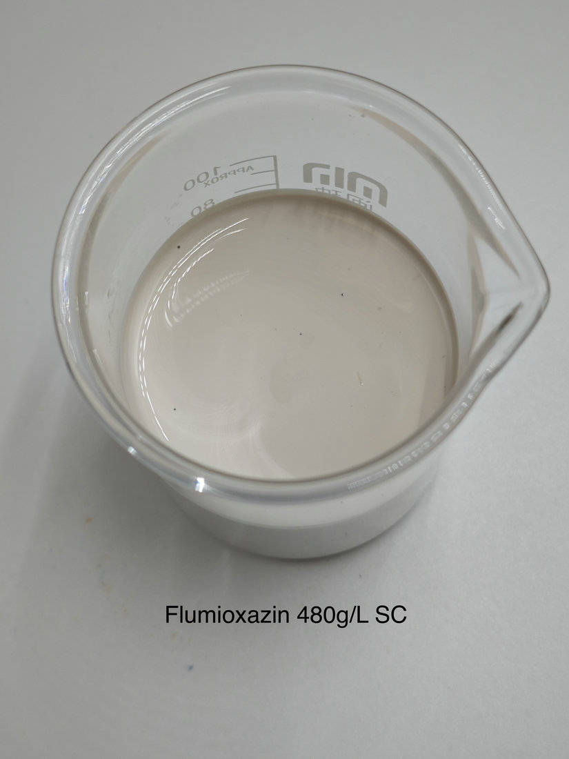 Flumioxazin 480g/L SC